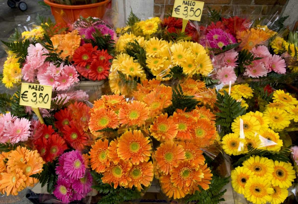 Italy, Venice Flowers for sale in a market art print by Wendy Kaveney for $57.95 CAD