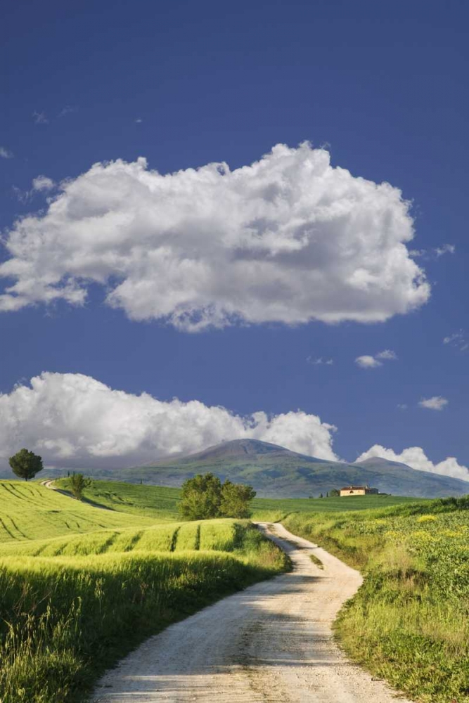 Italy, Tuscany Road leading to a villa art print by Dennis Flaherty for $57.95 CAD