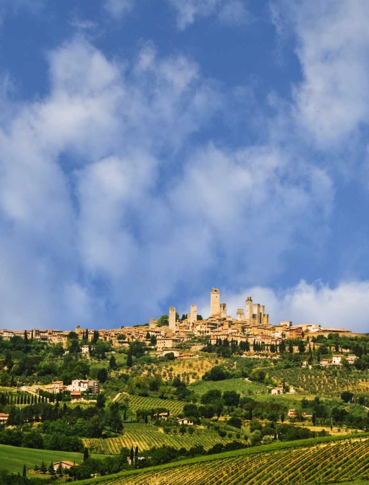 vineyards and hilltop town San Gimignano, Italy art print by Dennis Flaherty for $57.95 CAD