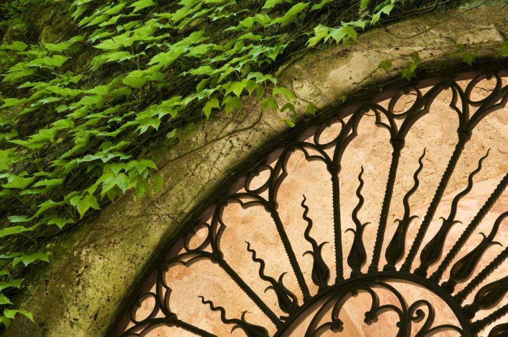 Italy, Tuscany Celsa Castle window detail art print by Marie Bush for $57.95 CAD