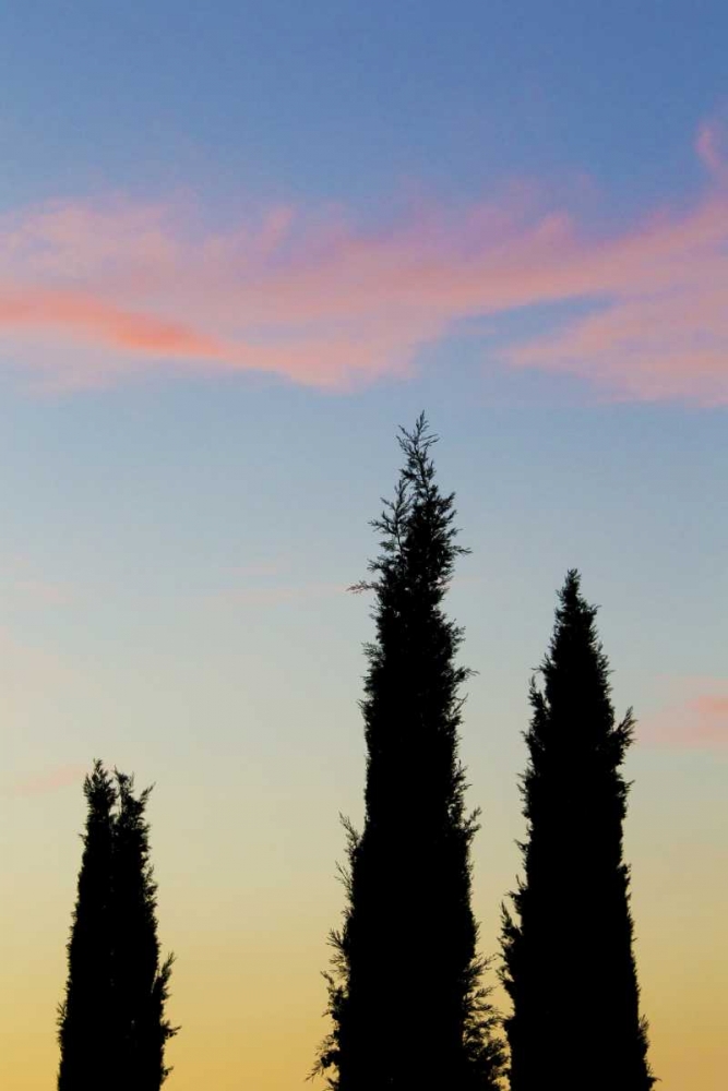 Italy, Orvieto Cypress trees and cloud at sunset art print by Gilles Delisle for $57.95 CAD