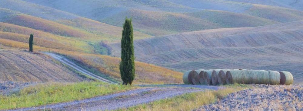 Italy, Tuscany Hay bales and farmland art print by Gilles Delisle for $57.95 CAD