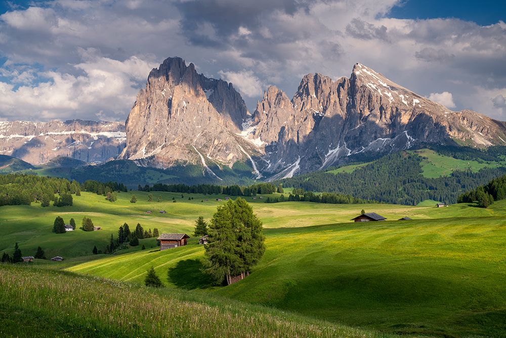 Europe-Italy-South Tirol-Alpine meadows with the Sasso Lungo and Sasso Piatto Mountains art print by Jaynes Gallery for $57.95 CAD