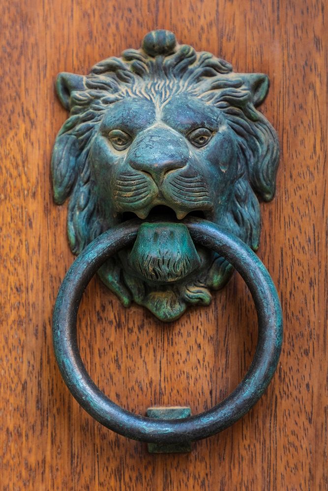 Messina Province-Caronia A bronze door knocker in the shape of a lion-in the medieval town art print by Emily Wilson for $57.95 CAD