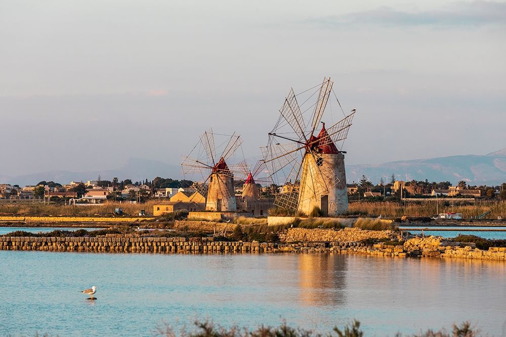 Trapani Province-Marsala Wind mills at the salt evaporation ponds in the Stagnone Nature Reserve art print by Emily Wilson for $57.95 CAD