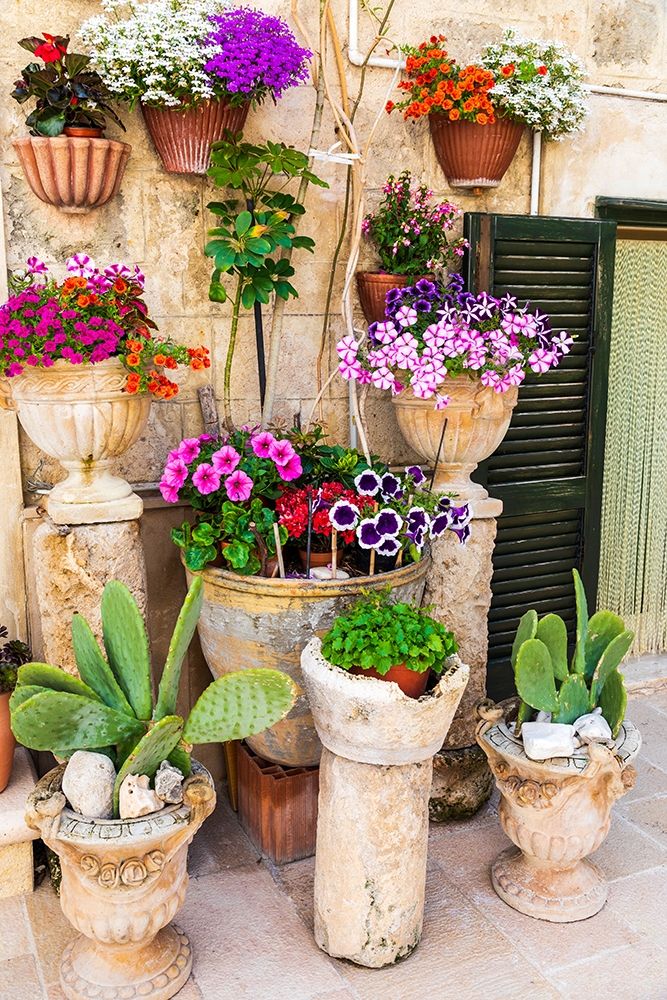 Italy-Apulia-Metropolitan City of Bari-Monopoli Flowers in planters outside a stone building art print by Emily Wilson for $57.95 CAD