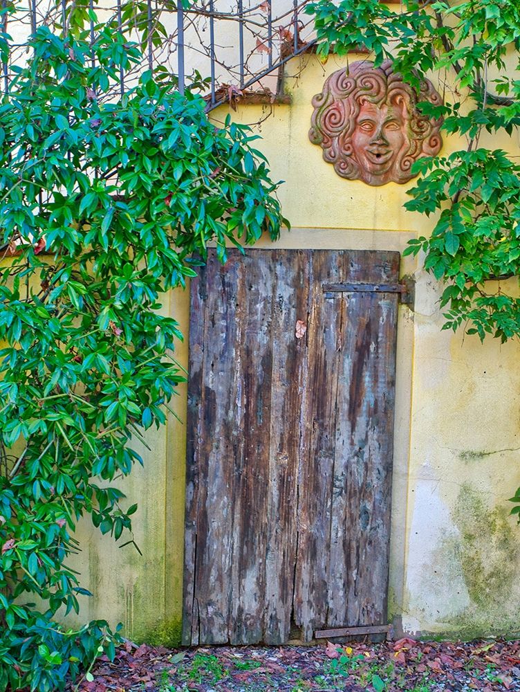 Italy-Chianti Old wooden door beneath a stairway with climbing vines and pottery art work art print by Julie Eggers for $57.95 CAD