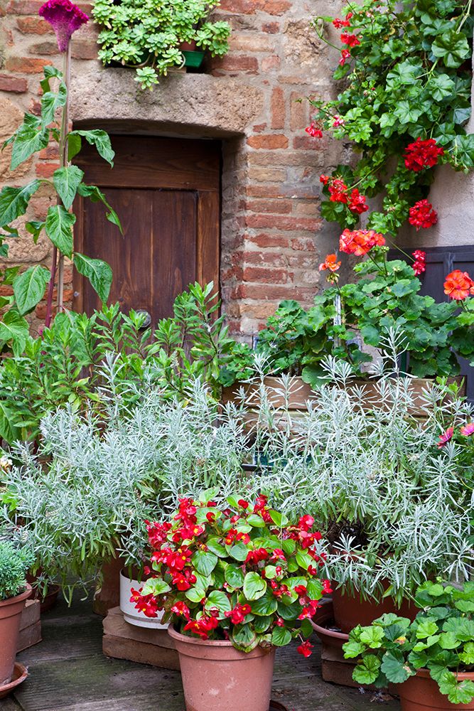 Italy-Tuscany-Pienza Potted plants in the corner of a street in the town of Pienza art print by Julie Eggers for $57.95 CAD