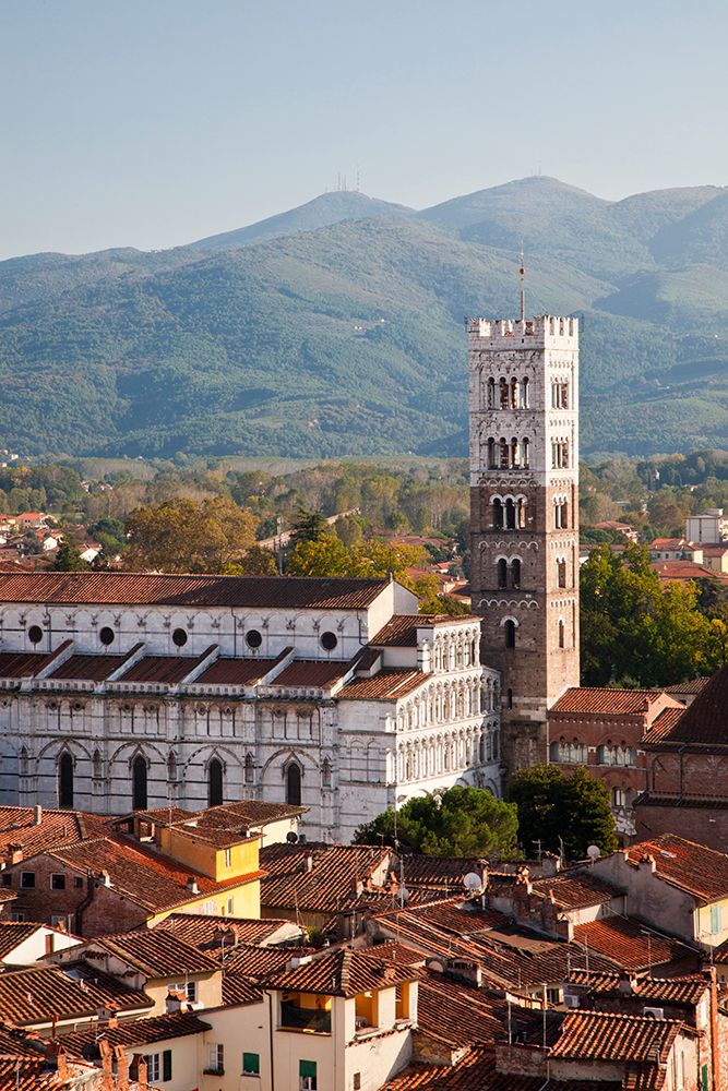 Italy-Tuscany-Lucca The rooftops of the historic Lucca medieval bell tower of St Martin Cathedral art print by Julie Eggers for $57.95 CAD
