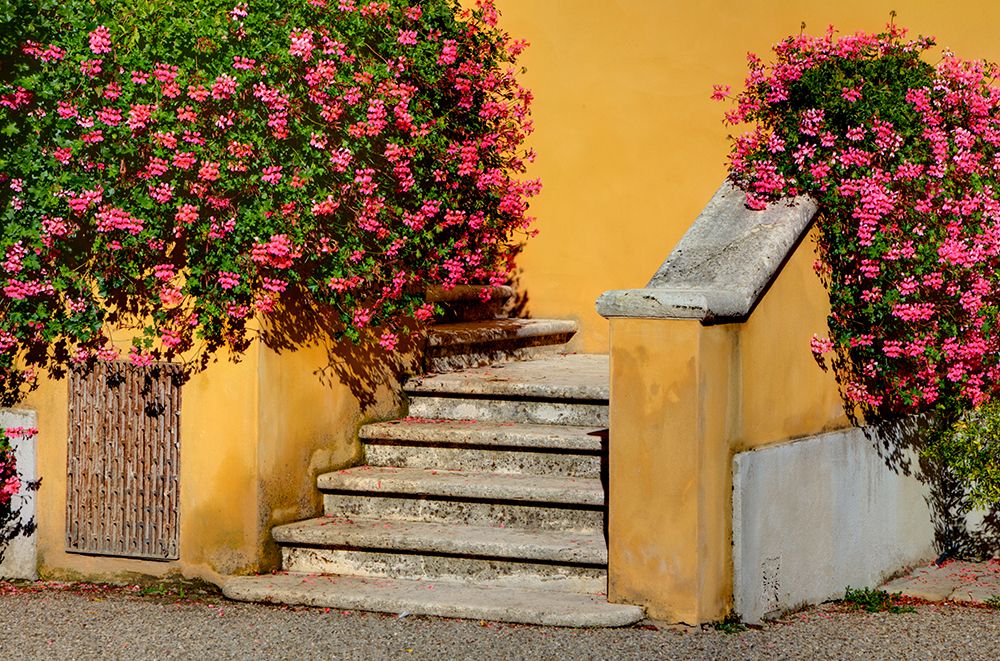 Italy-Tuscany Stairs covered in flowers art print by Julie Eggers for $57.95 CAD