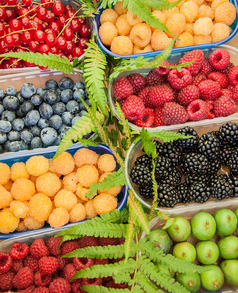Italy-Venice A variety of berries on display and for sale in the Rialto Market art print by Julie Eggers for $57.95 CAD
