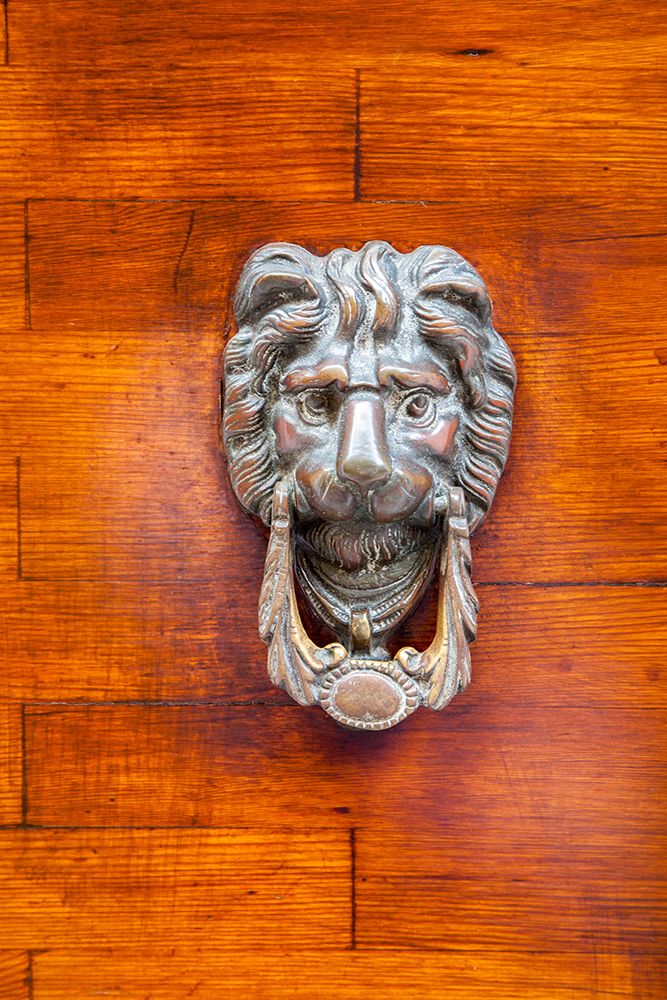 Italy-Venice-Burano Island Closeup of a lion head door knocker on a wooden door art print by Julie Eggers for $57.95 CAD