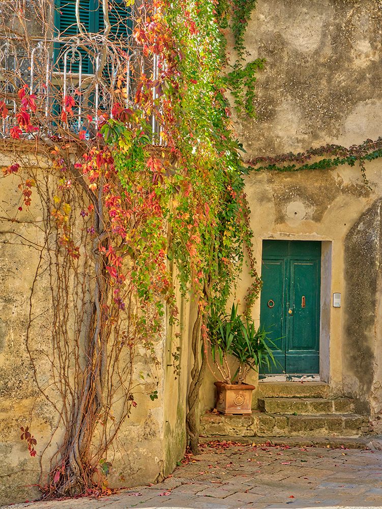 Italy-Tuscany-Monticchiello Red ivy covering the walls of the buildings art print by Julie Eggers for $57.95 CAD