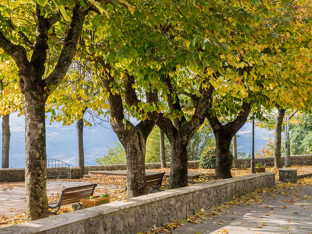 Italy-Tuscany-Radicofani Park setting in the town of Radicofani overlooking the valley below art print by Julie Eggers for $57.95 CAD