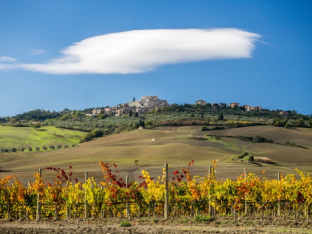 Italy-Tuscany Colorful vineyards in autumn with blue skies and clouds art print by Julie Eggers for $57.95 CAD