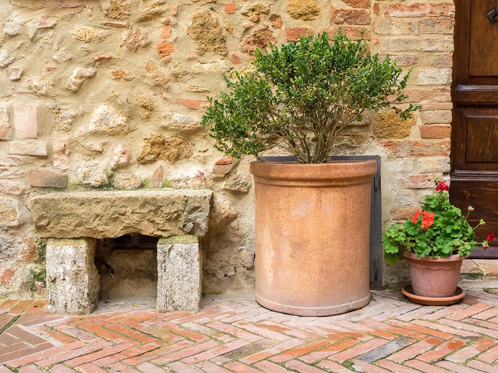 Italy-Tuscany-Pienza Potted plants and stone bench along the streets art print by Julie Eggers for $57.95 CAD