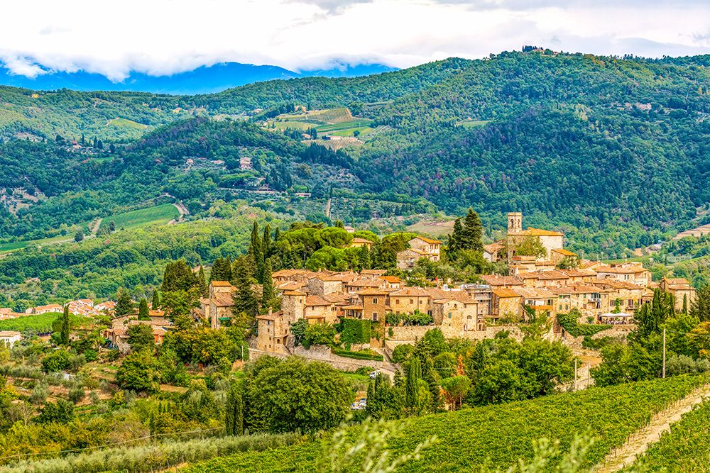 Greve in Chianti, Tuscany, Italy. little mountain village set among vineyards and trees. art print by Murray McCallum for $57.95 CAD