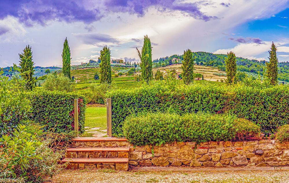 Greve in Chianti, Tuscany, Italy. a vineyard farm towards the hills. art print by Murray McCallum for $57.95 CAD