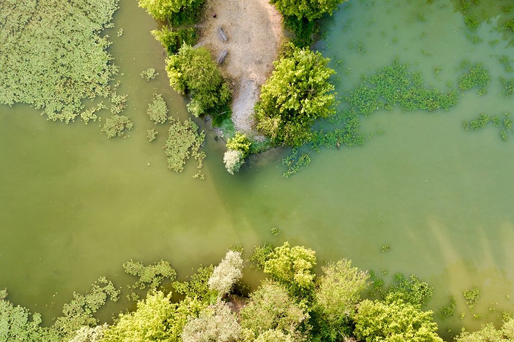 Italy-Mantua-Mantua Lake aerial view, art print by Michele Molinari for $57.95 CAD