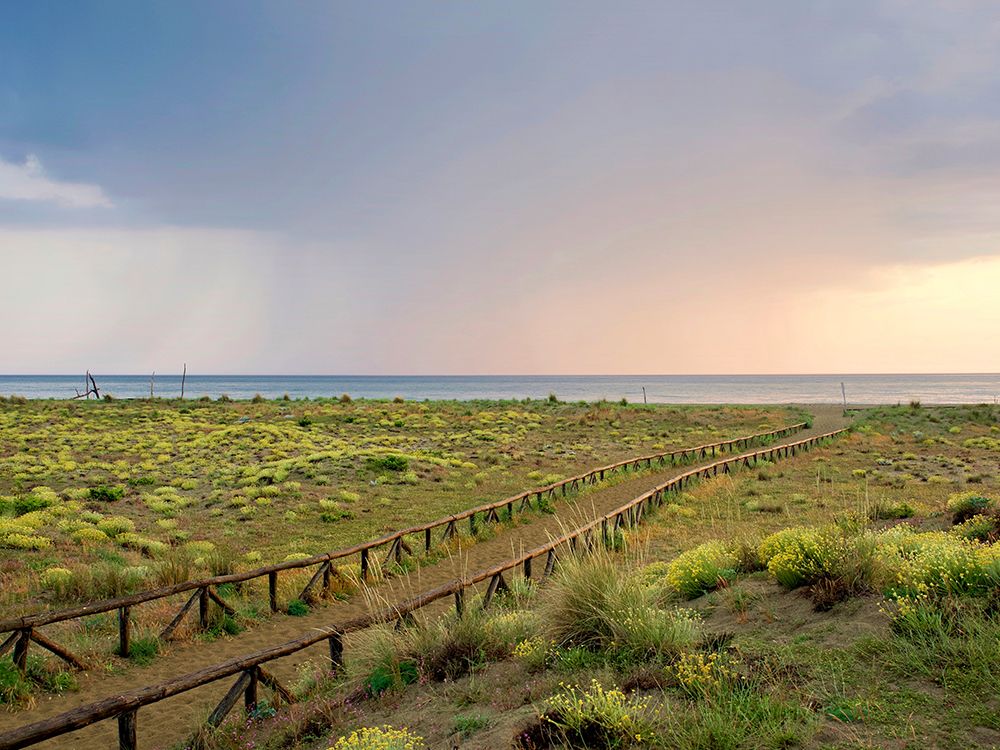 Italy, Tuscany, dunes and beach. Path to the beach. Rains at the horizon. art print by Michele Molinari for $57.95 CAD