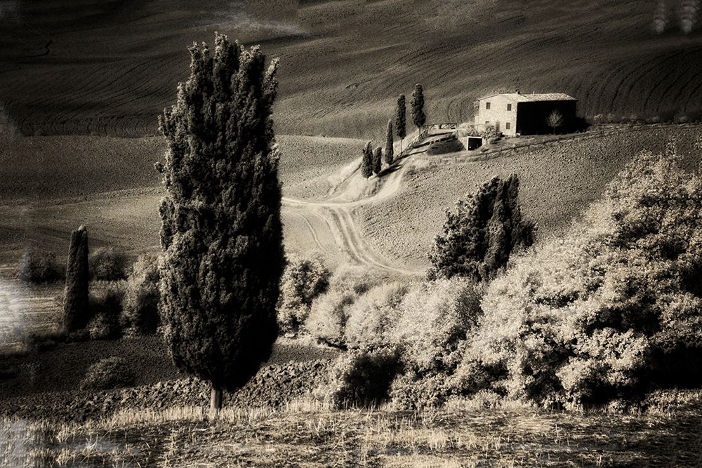 Italy Tuscany-Villa in the Tuscan hillside art print by Terry Eggers for $57.95 CAD