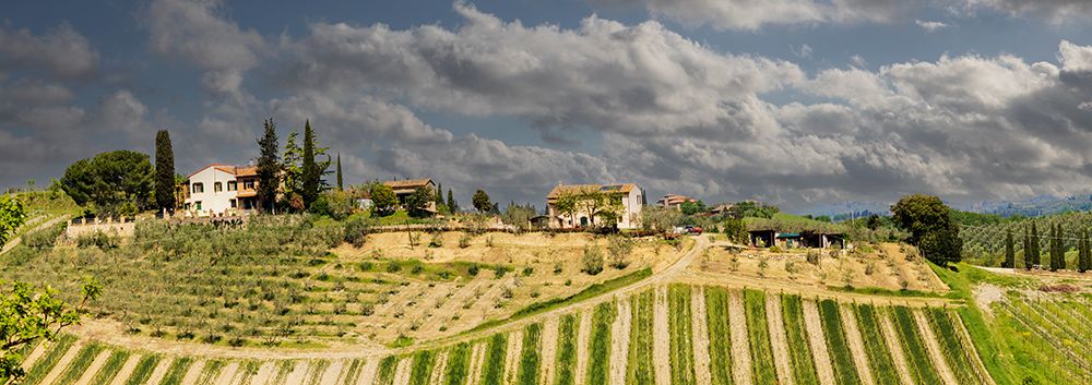 Tuscan landscape under thunder clouds. Farmhouse with vineyard. Tuscany-Italy. art print by Tom Norring for $57.95 CAD