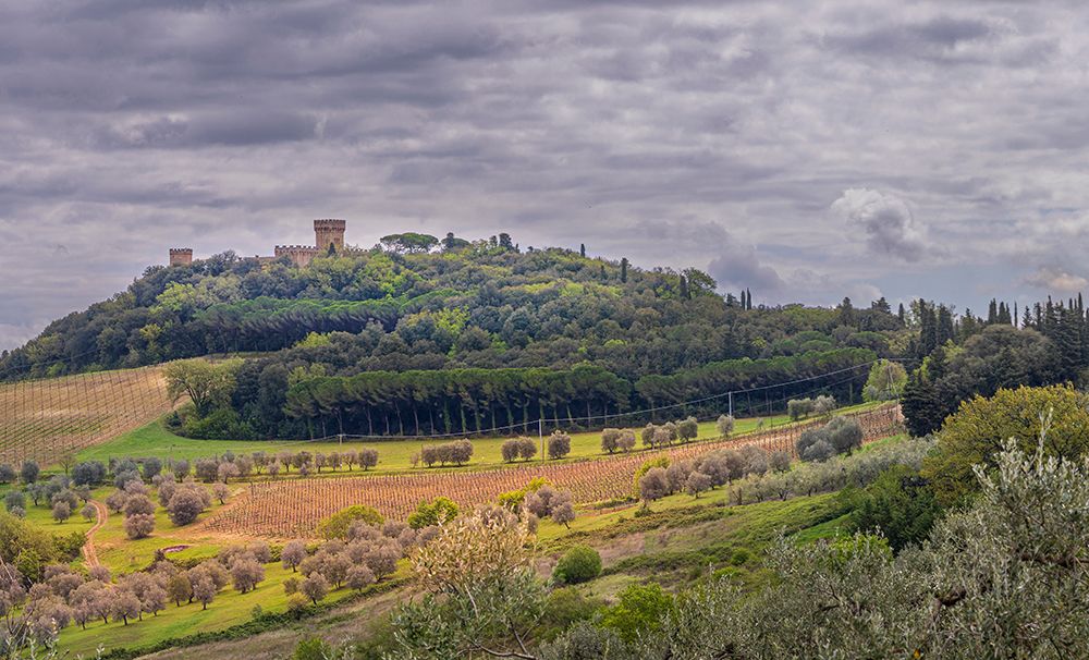 Tuscan landscape under dark skies-Tuscany-Italy. art print by Tom Norring for $57.95 CAD