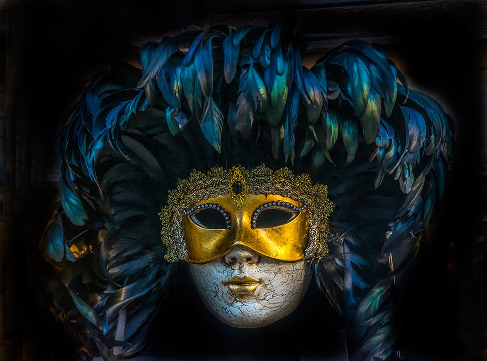 Black feathers Venetian mask-Venice-Italy-Used since the 1200s for Carnival-masks allowed the Venet art print by William Perry for $57.95 CAD