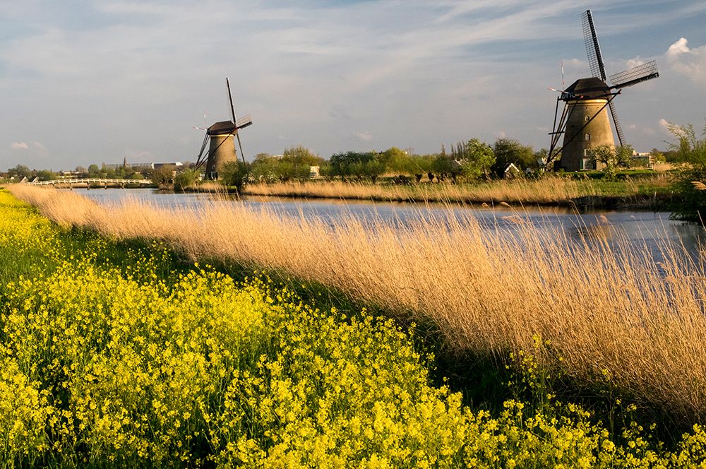 Netherland-Kinderdijk. Windmills along the canal. art print by Julie Eggers for $57.95 CAD