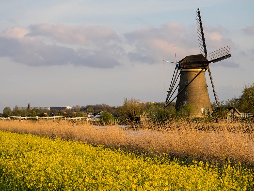 Netherland-Kinderdijk. Windmills along the canal. art print by Julie Eggers for $57.95 CAD