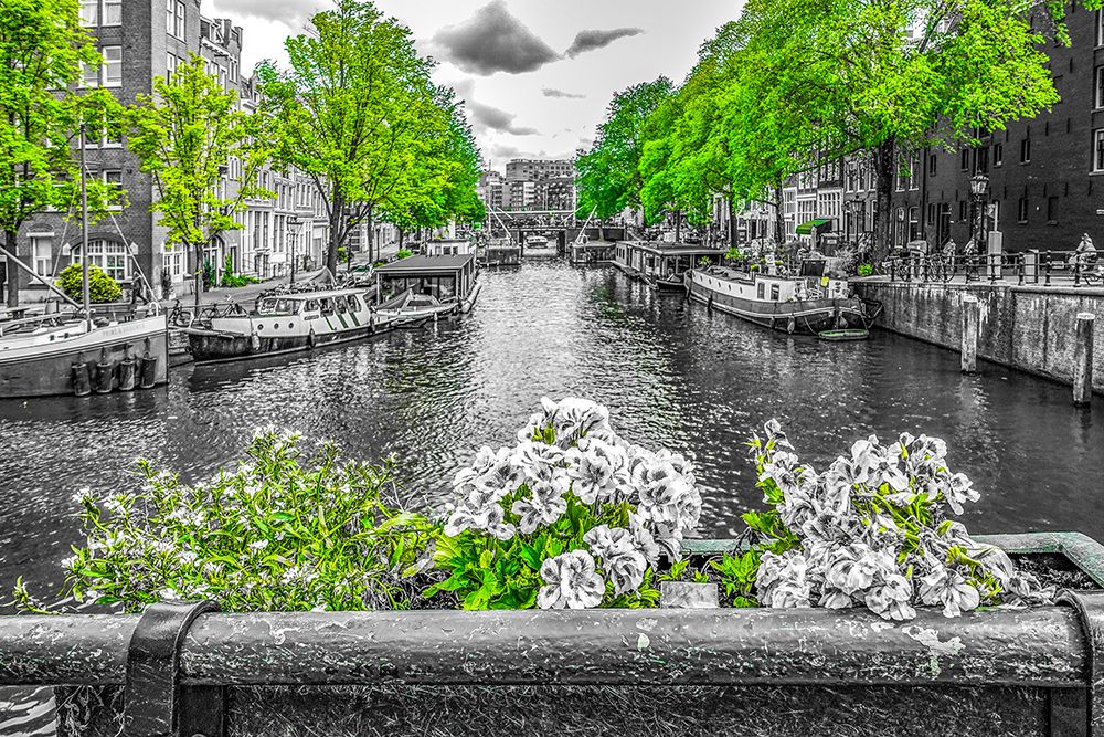 Amsterdam, Netherlands. Colorized black and white view of Amsterdams scenic canals. art print by Murray McCallum for $57.95 CAD