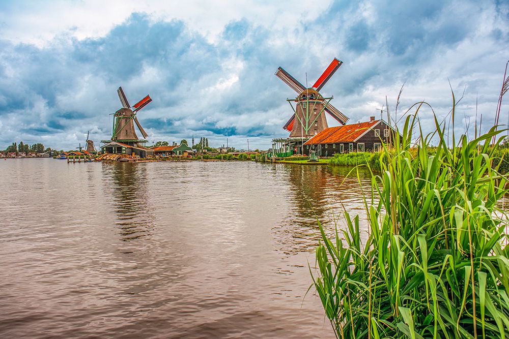 Zaanse Schans, Netherlands. iconic Dutch tourist village which features six functioning windmills. art print by Murray McCallum for $57.95 CAD