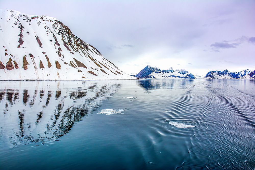 Arctic Ocean, Svalbard Islands, Norway.Icy mountain island and drift ice in the ocean water. art print by Murray McCallum for $57.95 CAD
