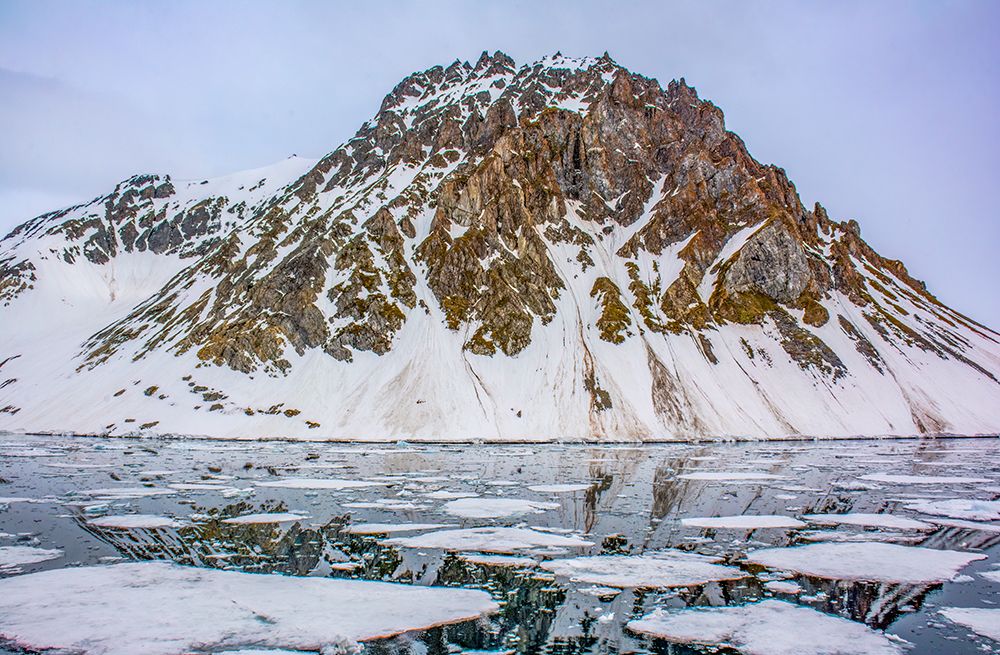 Arctic Ocean, Svalbard Islands, Norway. Icy island and drift ice in the Arctic Ocean. art print by Murray McCallum for $57.95 CAD