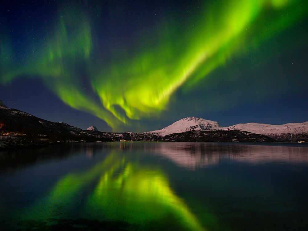 Northern lights over the Salangen Fjord near Sjovegan in northern Norway during winter. art print by Martin Zwick for $57.95 CAD