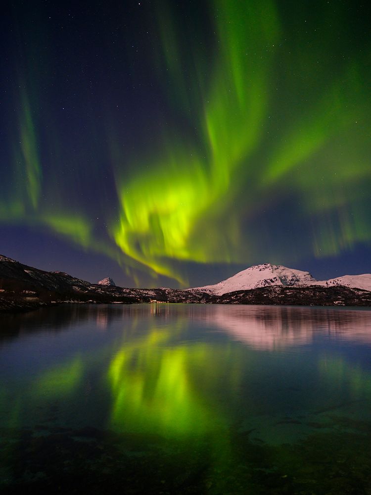 Northern lights over the Salangen Fjord near Sjovegan in northern Norway during winter. art print by Martin Zwick for $57.95 CAD