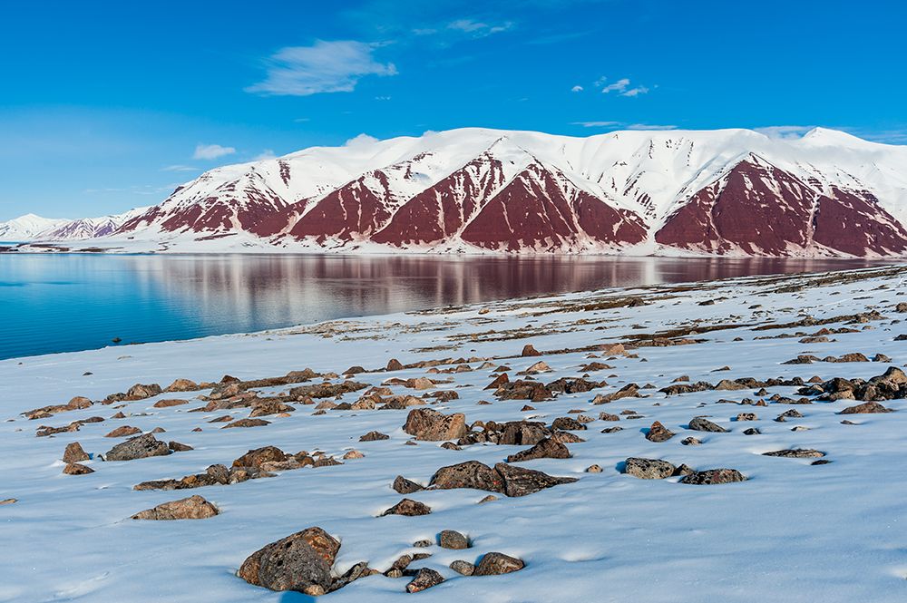 Snow covered rock beaches and mountains rim Bockfjorden-Spitsbergen Island-Svalbard-Norway art print by Sergio Pitamitz for $57.95 CAD