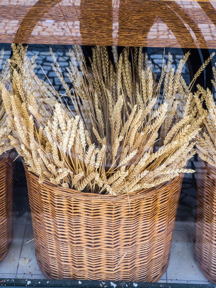 Portugal-Lisbon-Dried wheat stalks in the window of a bakery art print by Julie Eggers for $57.95 CAD