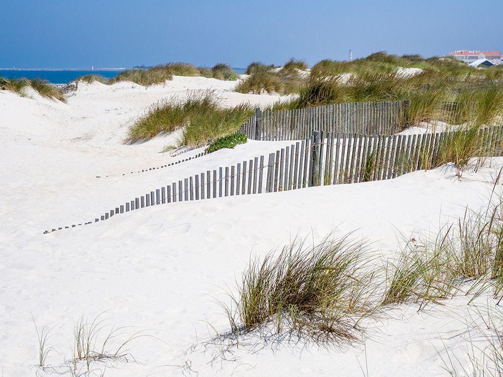 Portugal-Costa Nova-Beach grass-sand and old fence line at the beach resort of Costa Nova near Avei art print by Julie Eggers for $57.95 CAD