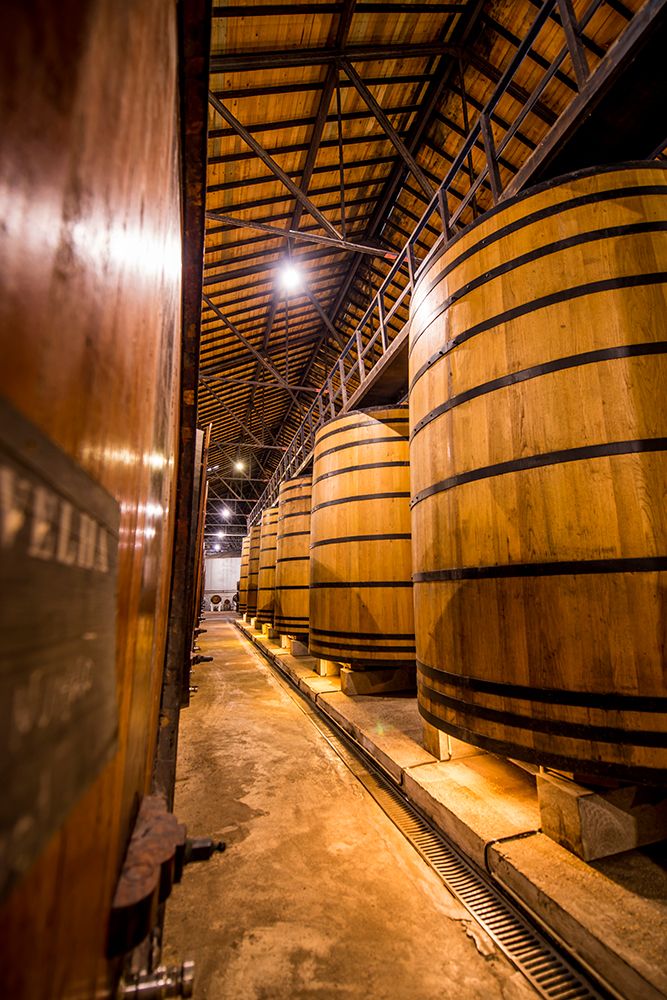 Oak vats and barrels, Real Companhia Velha winery and cellars, Gaia, Porto, Portugal. art print by Michael DeFreitas for $57.95 CAD