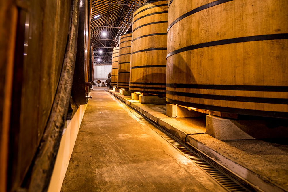 Oak vats and barrels, Real Companhia Velha winery and cellars, Gaia, Porto, Portugal. art print by Michael DeFreitas for $57.95 CAD
