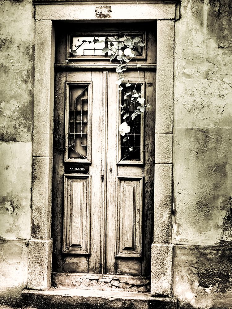 Portugal-Aveiro-Old doorways in the city art print by Terry Eggers for $57.95 CAD