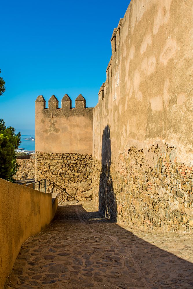 Alcazaba and Castle of Gibralfaro on Mount Malaga above the old town, Malaga, Spain. art print by Michael DeFreitas for $57.95 CAD