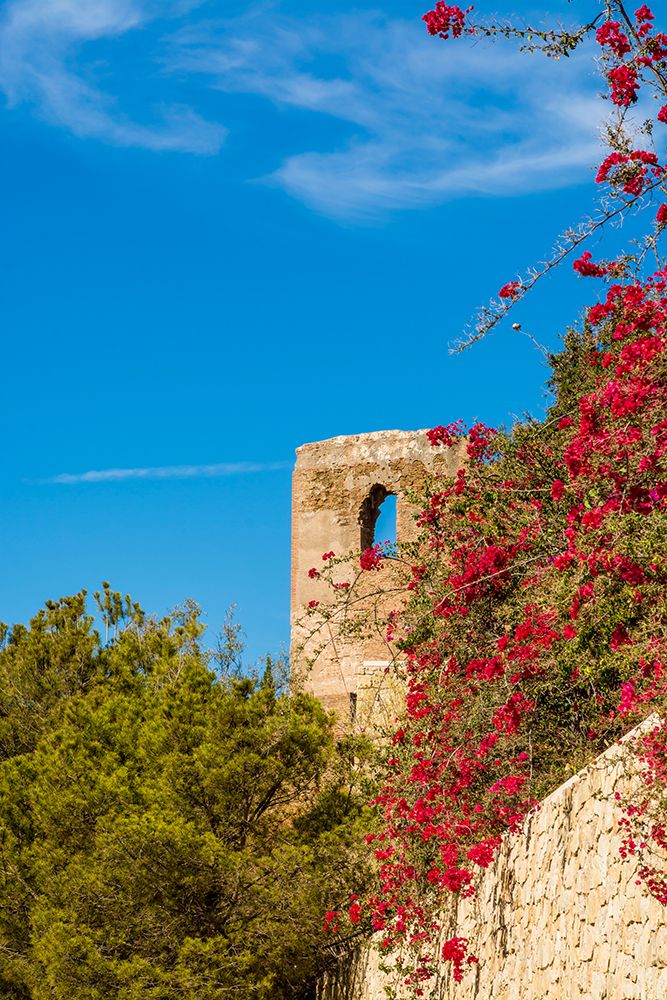 Alcazaba and Castle of Gibralfaro on Mount Malaga above the old town, Malaga, Spain. art print by Michael DeFreitas for $57.95 CAD