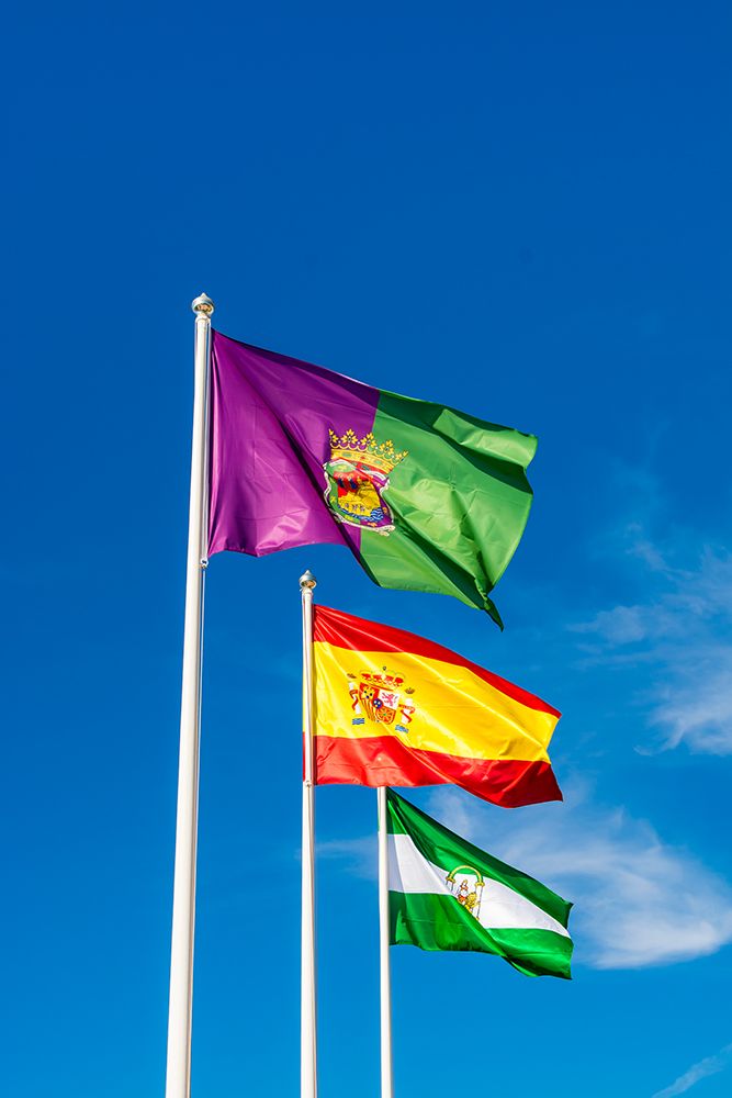 Malaga, Andalusia and national flags at the Alcazaba and Castle of Gibralfaro, Malaga, Spain. art print by Michael DeFreitas for $57.95 CAD