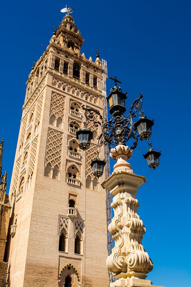 Catedral de Sevilla (Seville Cathedral), UNESCO World Heritage Site, Seville, Andalusia, Spain. art print by Michael DeFreitas for $57.95 CAD