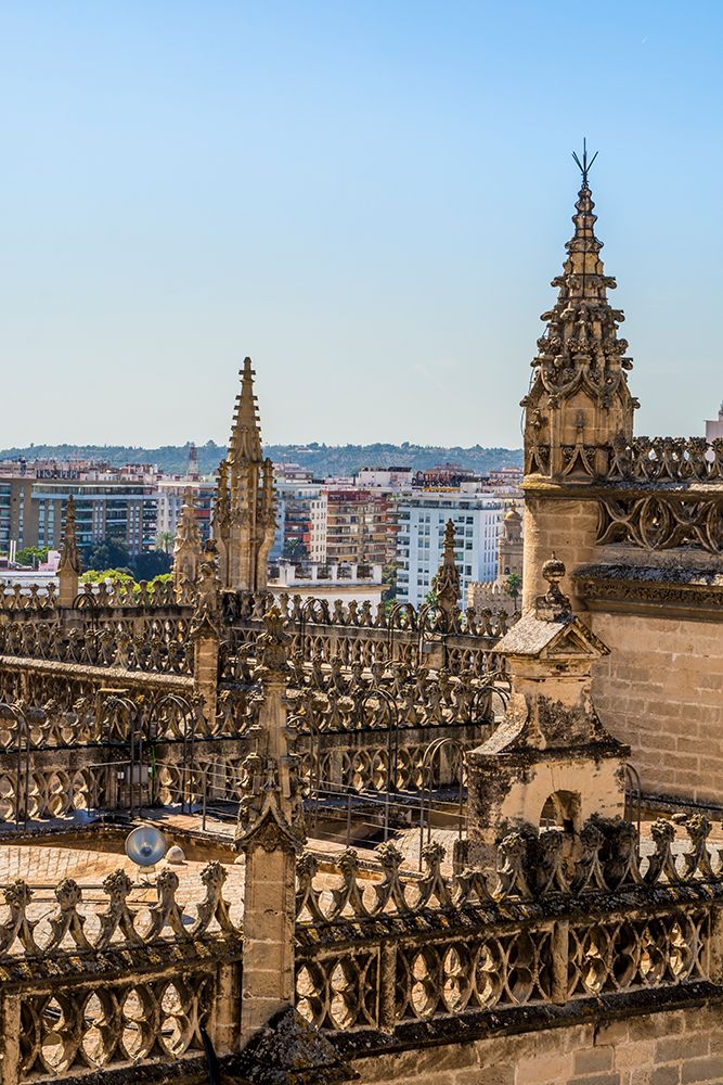 Roof of the Catedral de Sevilla (Seville Cathedral), UNESCO Site, Seville, Andalusia, Spain. art print by Michael DeFreitas for $57.95 CAD