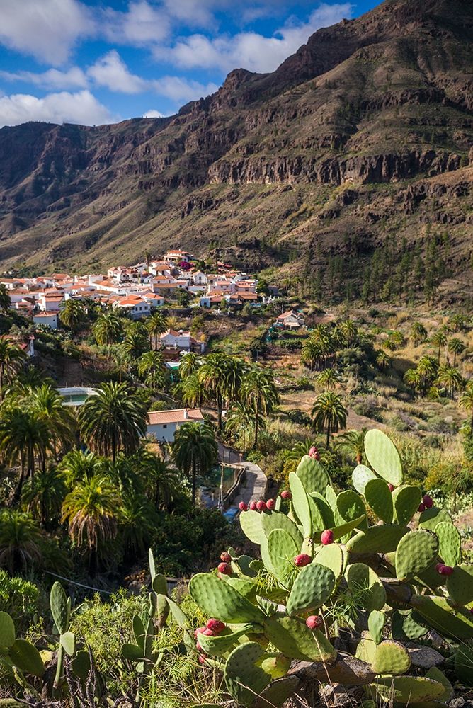 Spain-Canary Islands-Gran Canaria Island-Fataga-high angle village view art print by Walter Bibikow for $57.95 CAD