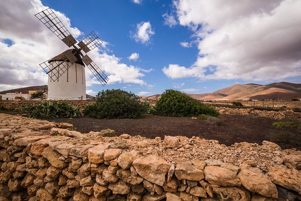 Canary Islands-Fuerteventura Island-Tiscamanita-traditional island windmill art print by Walter Bibikow for $57.95 CAD