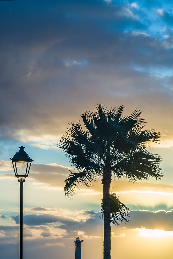 Canary Islands-Fuerteventura Island-Morro Jable-Playa del Matorral beach-palm tree-streetlight art print by Walter Bibikow for $57.95 CAD